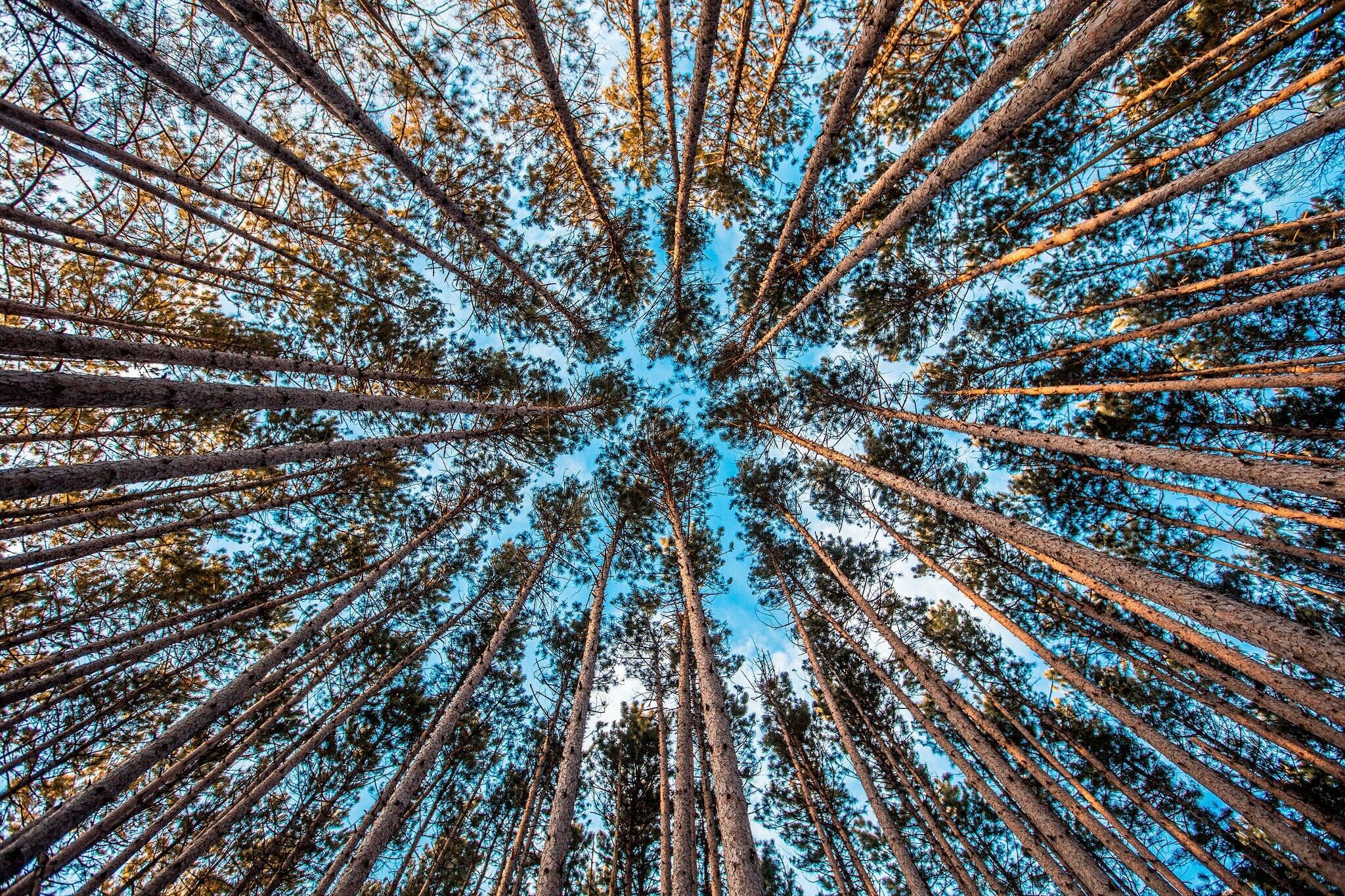 Imagem de apresentação da empresa