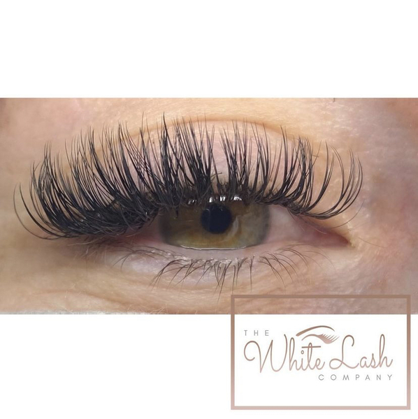 Imagem do fornecedor