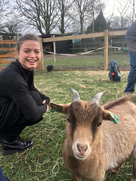 Imagem do fornecedor