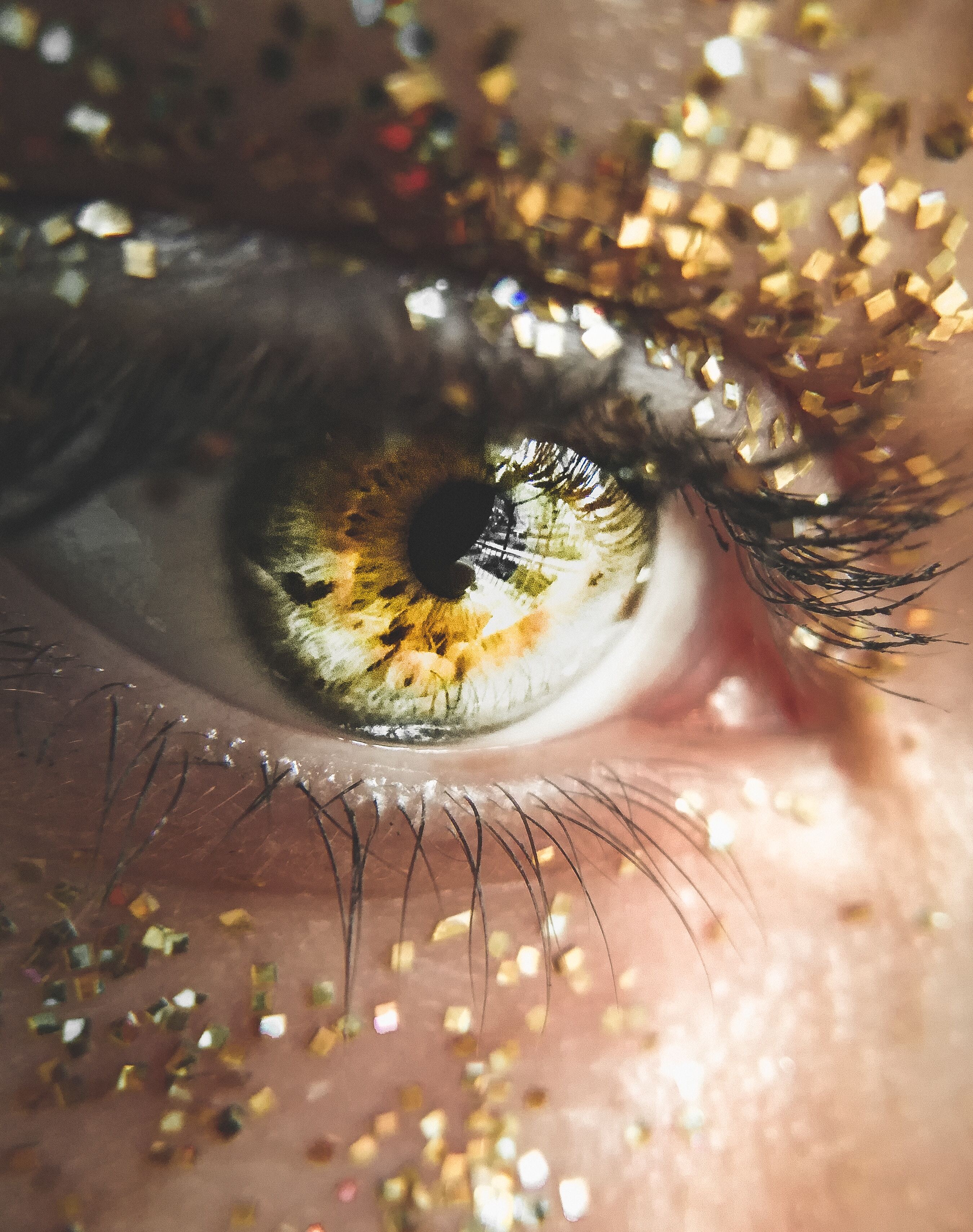 Imagem do serviço 