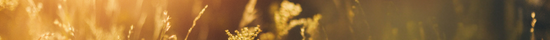 Imagem de apresentação da empresa