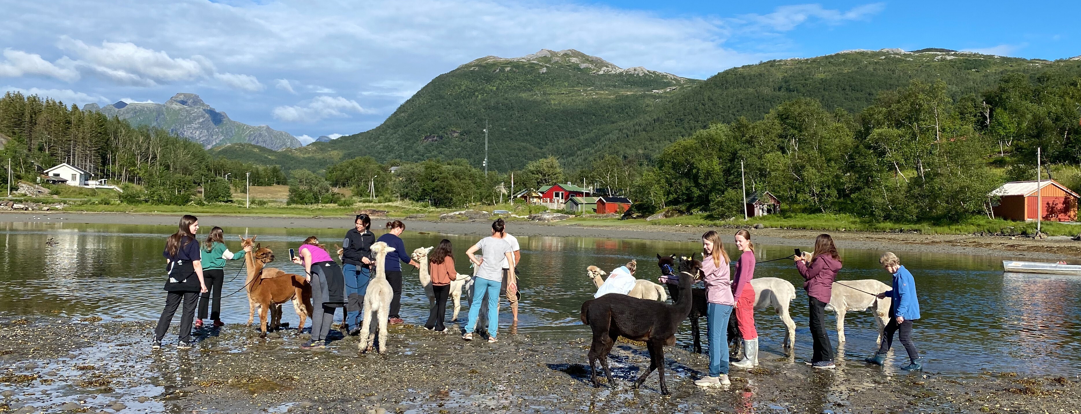 Company cover image