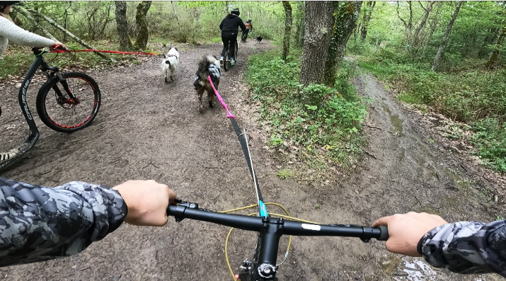 Imagem do fornecedor