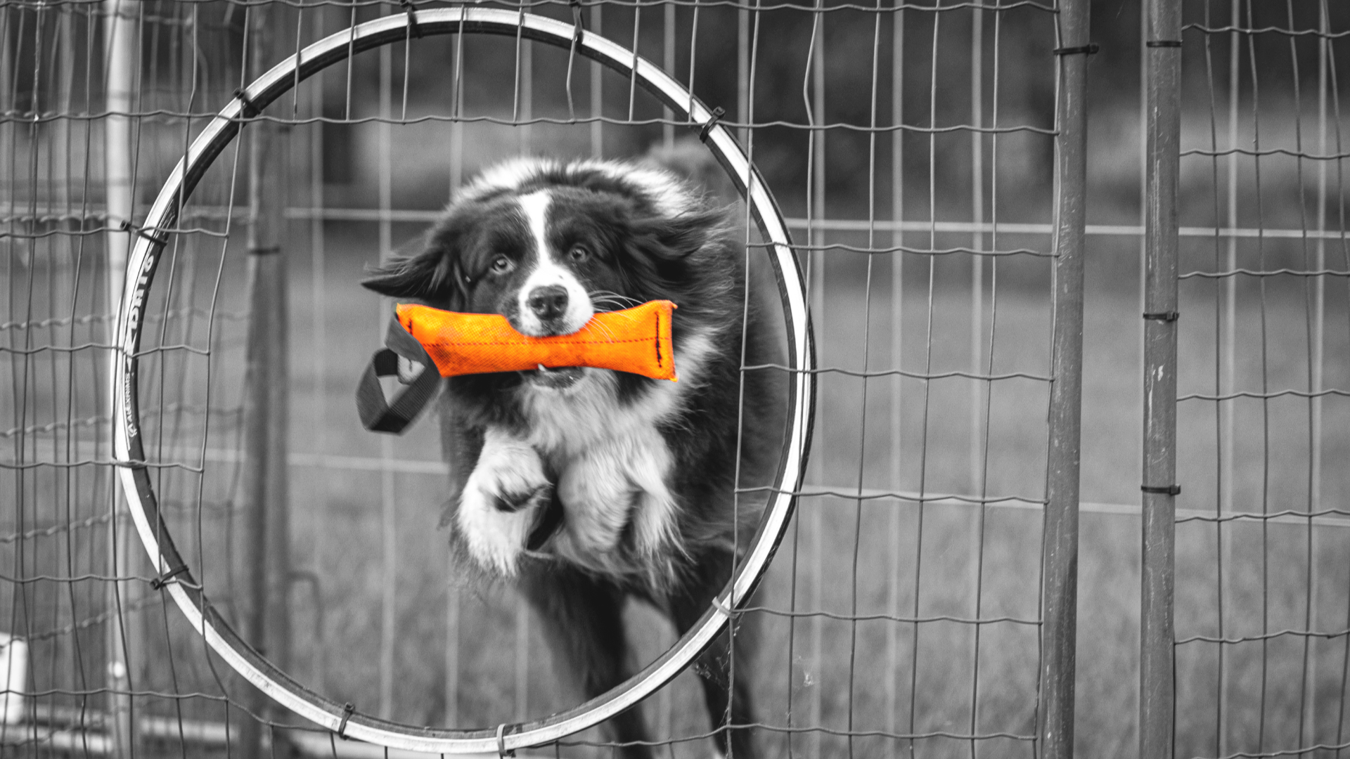 Imagem de apresentação da empresa