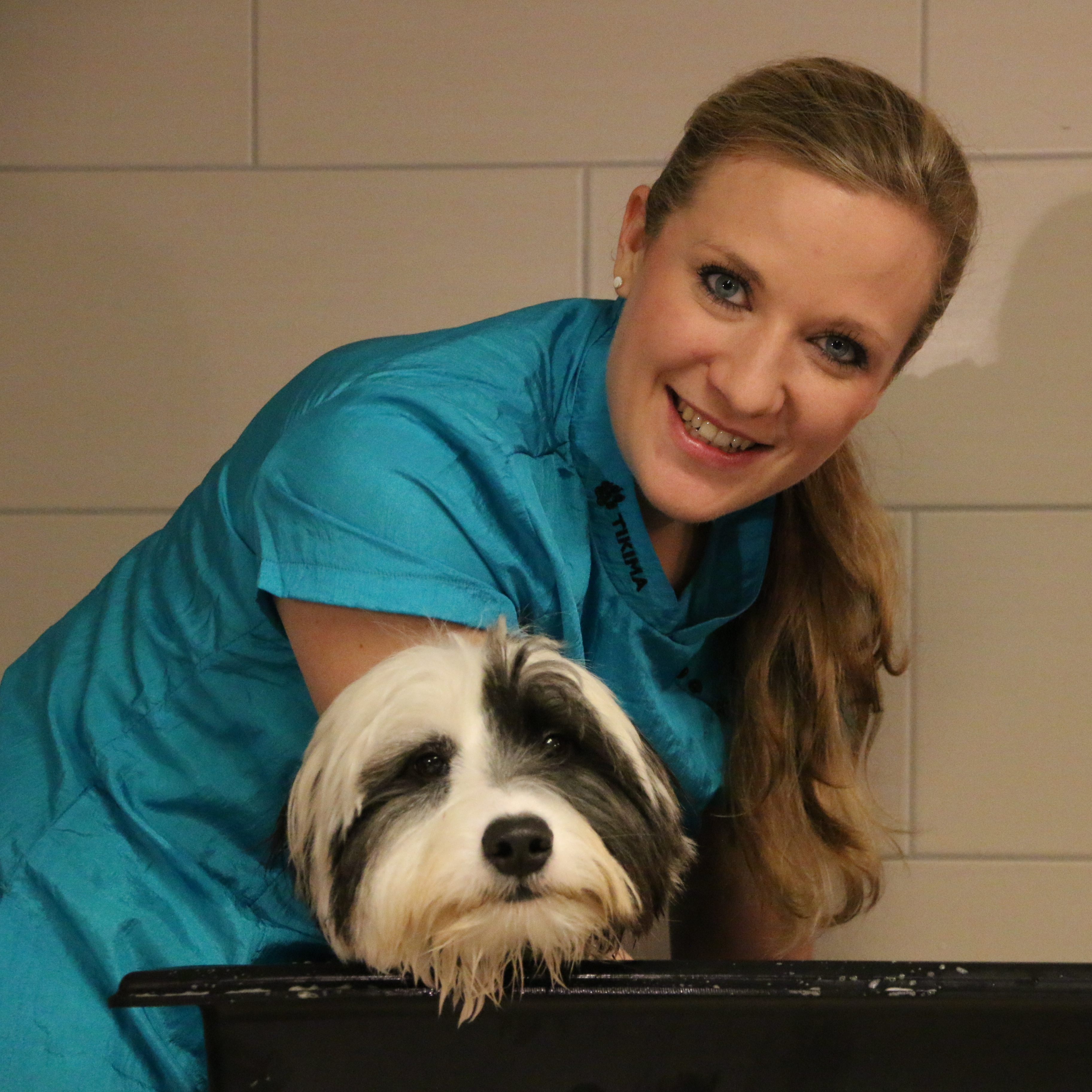 Imagem do fornecedor