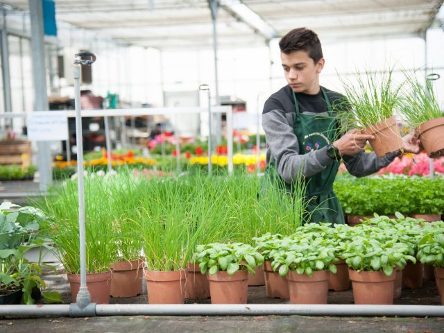 Imagem do fornecedor