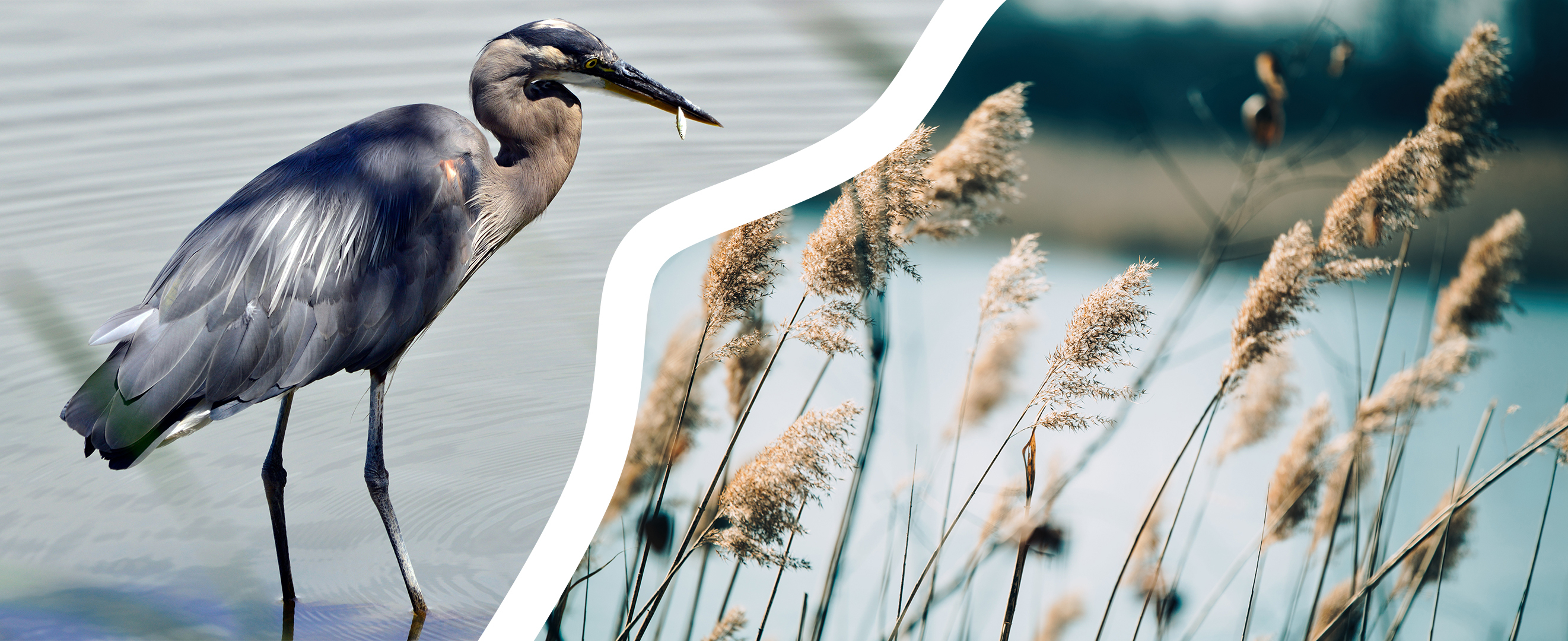 Imagem de apresentação da empresa