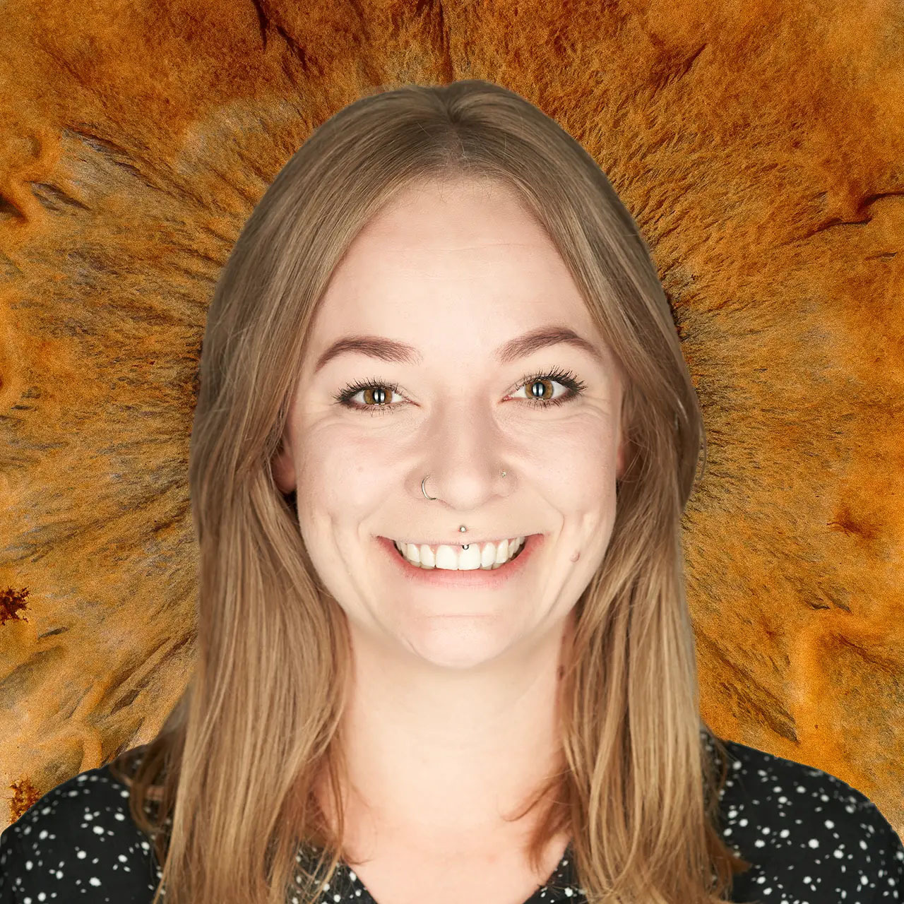 Imagem do fornecedor