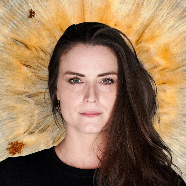 Imagem do fornecedor