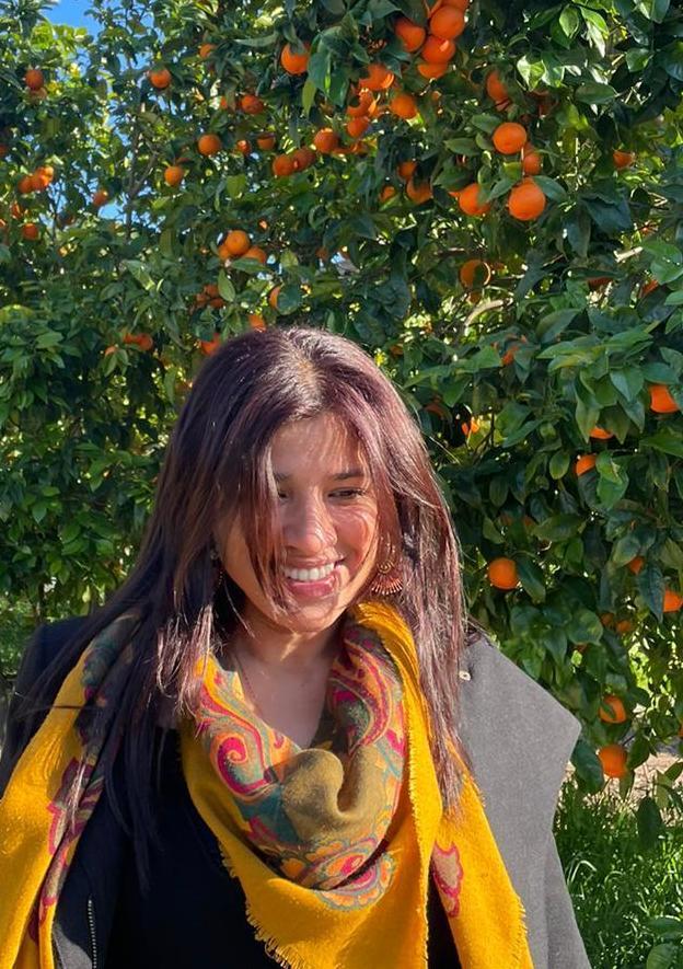 Imagem do fornecedor