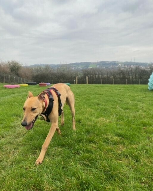 Imagem do fornecedor