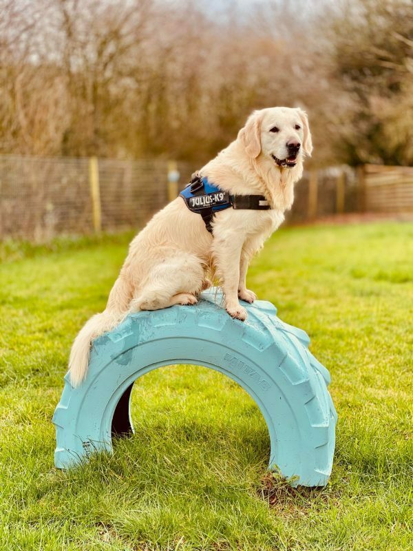 Imagem do fornecedor