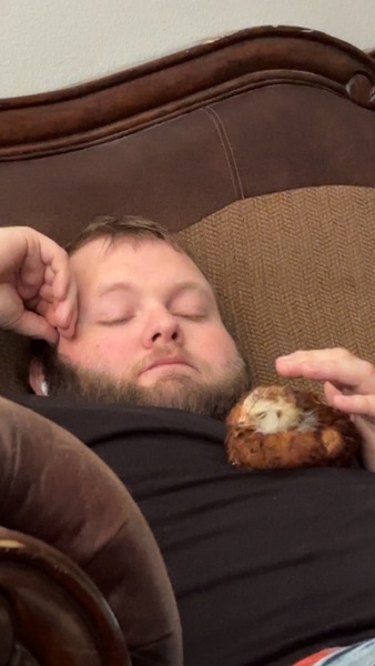 Imagem do fornecedor