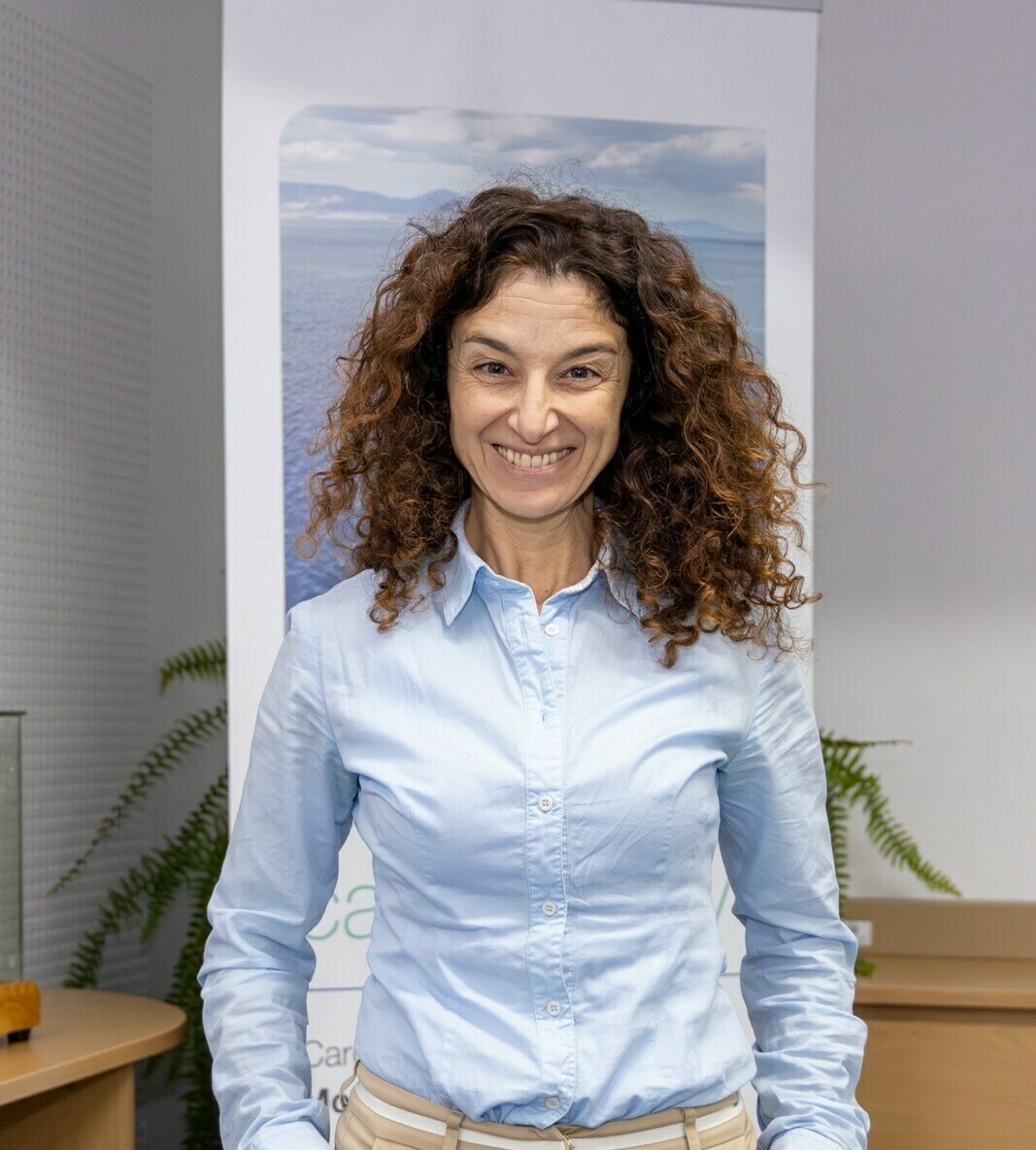 Imagem do fornecedor