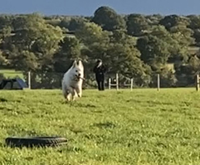 Imagem do fornecedor