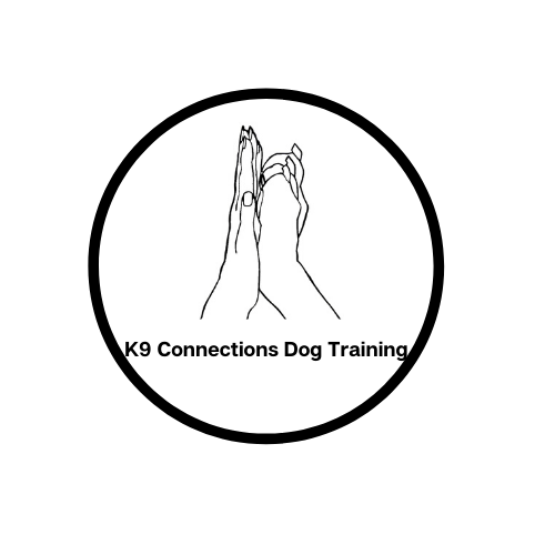 K9 best sale connection training