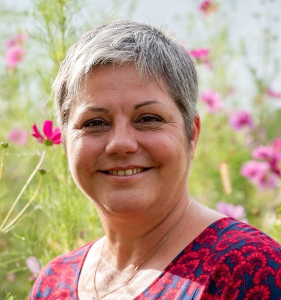 Imagem do fornecedor