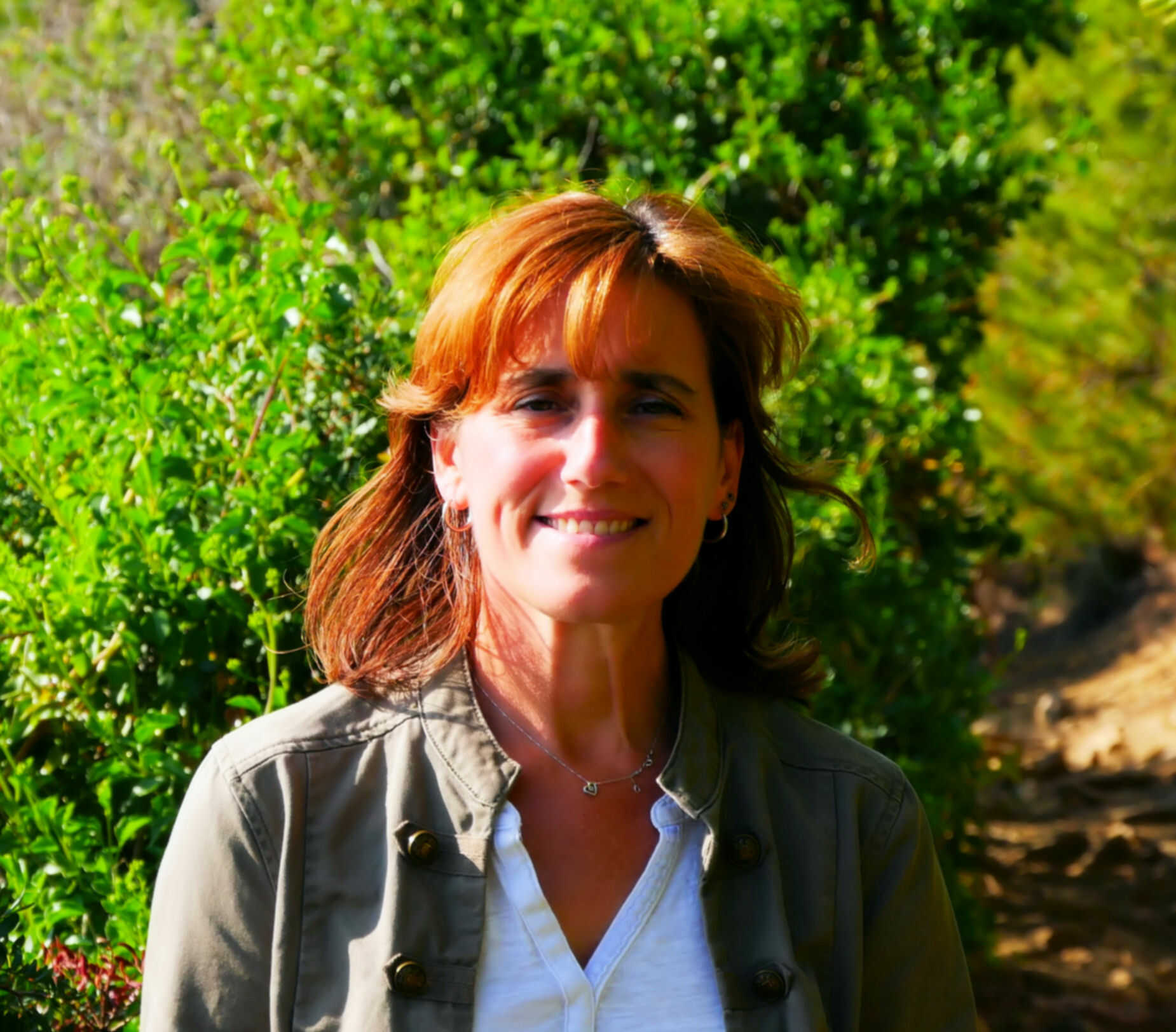 Imagem do fornecedor