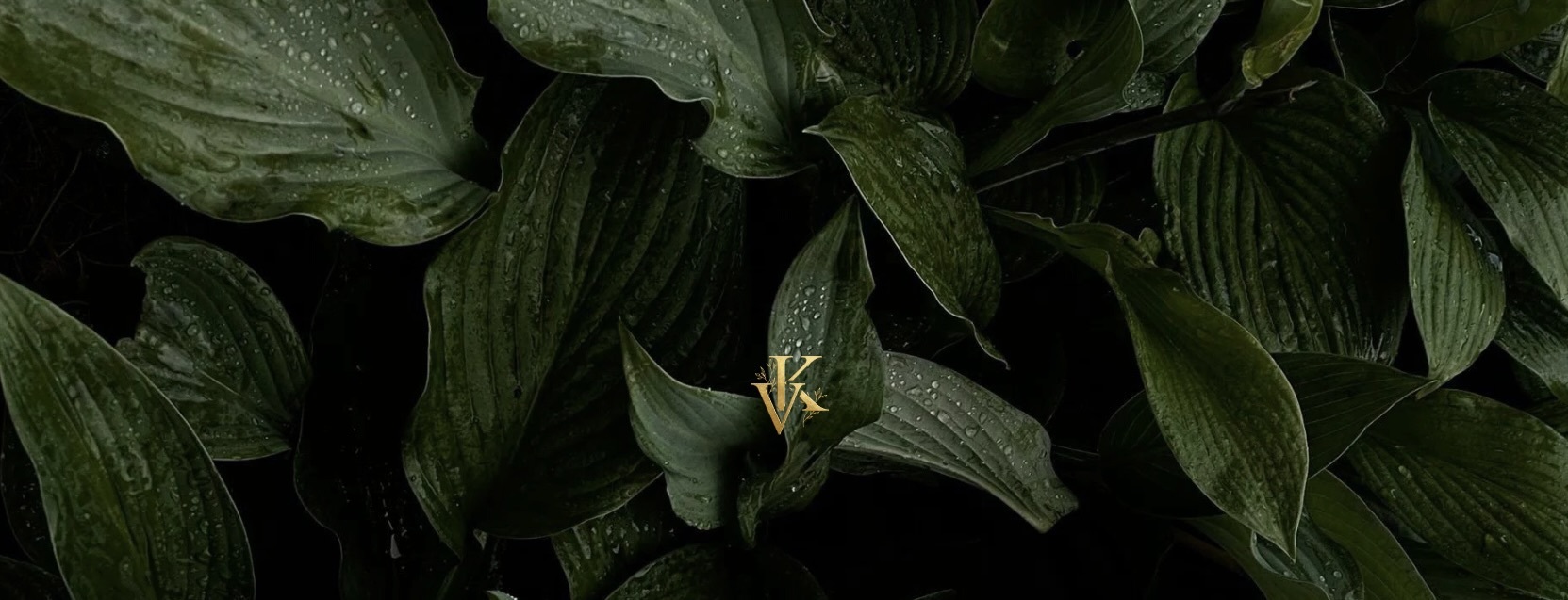 Company cover image