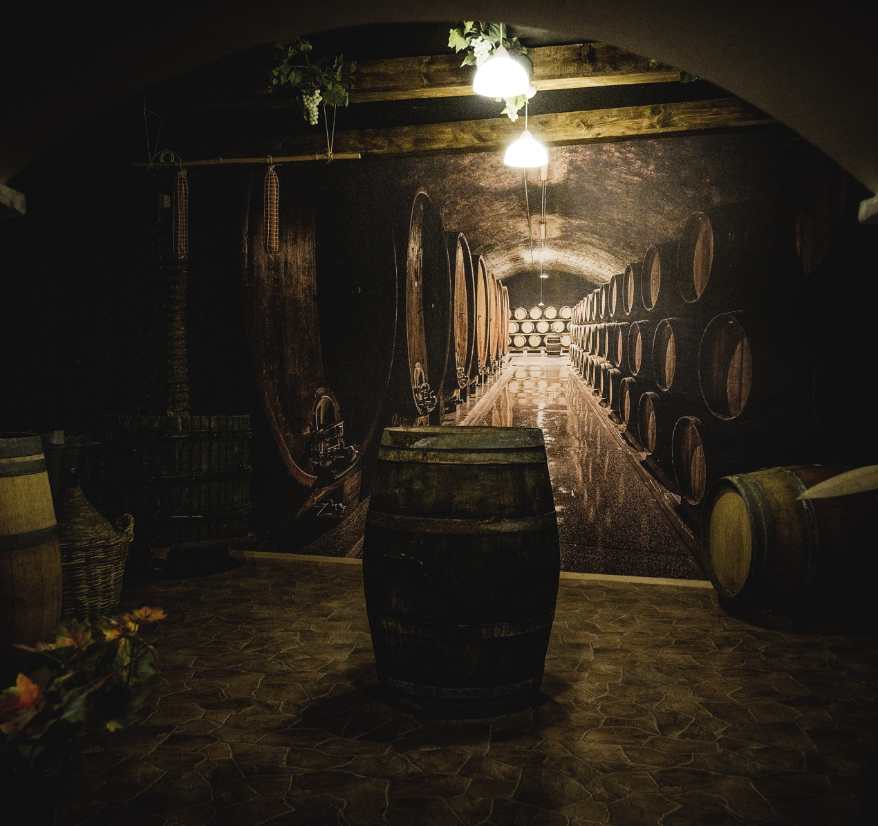 Imagem do fornecedor