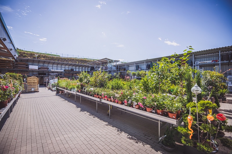 Imagem do fornecedor