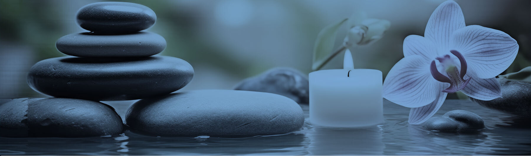 Imagem de apresentação da empresa