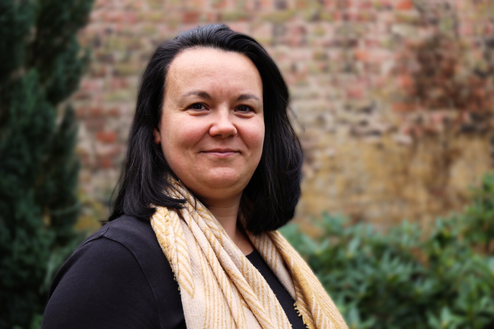 Imagem do fornecedor