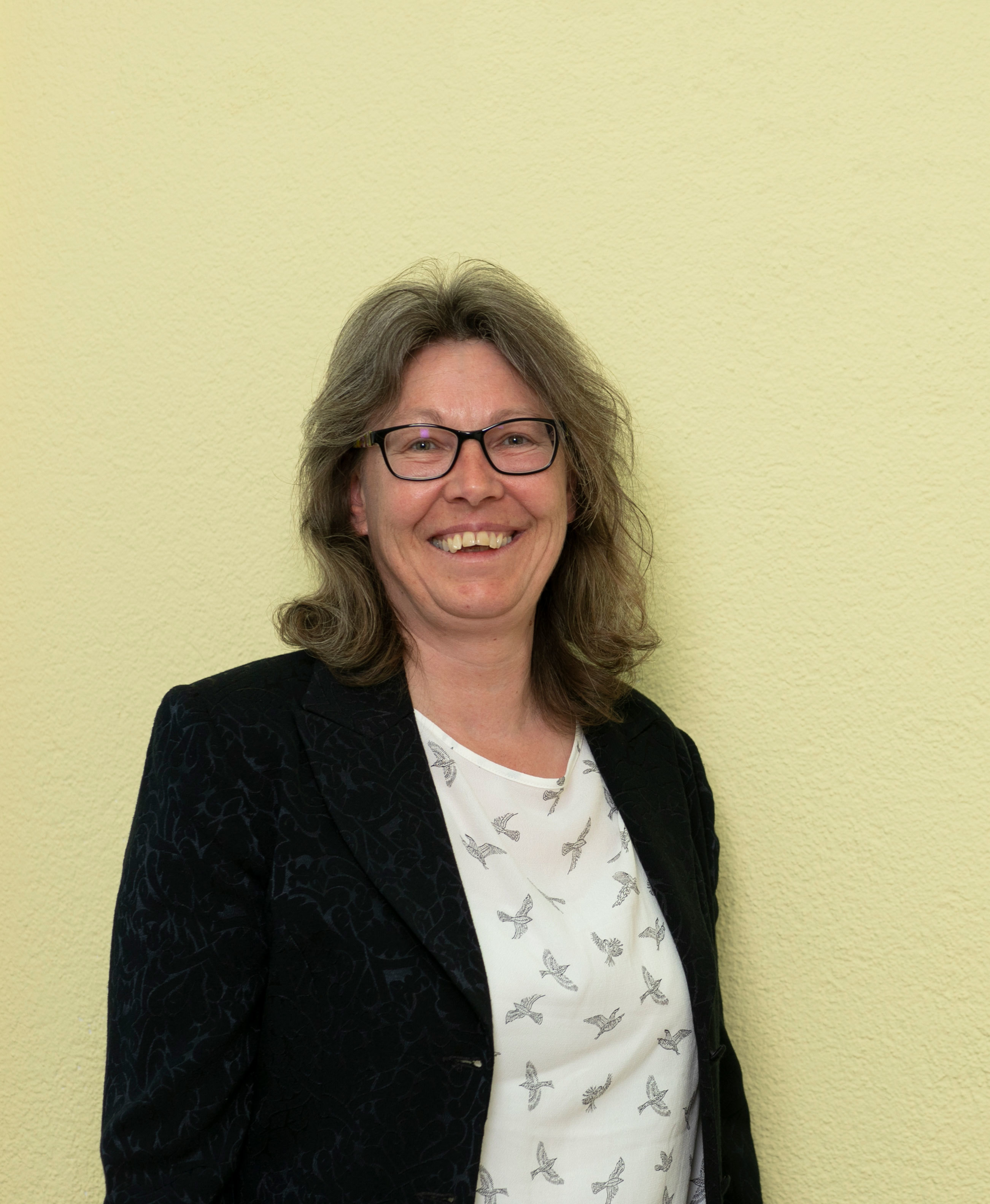 Imagem do fornecedor