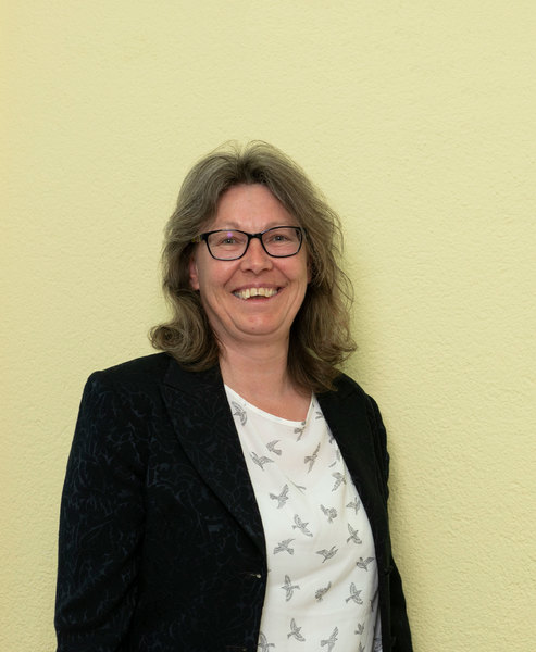 Imagem do fornecedor