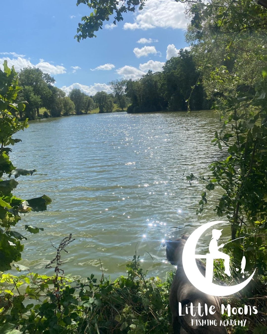 Imagem de apresentação da empresa