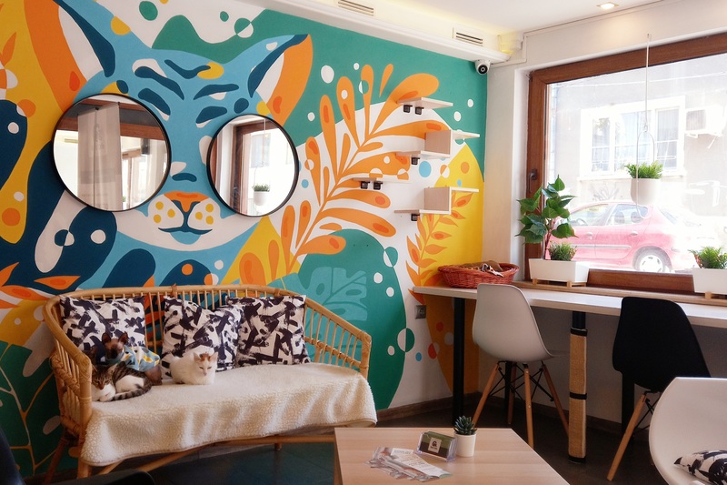 Imagem do fornecedor