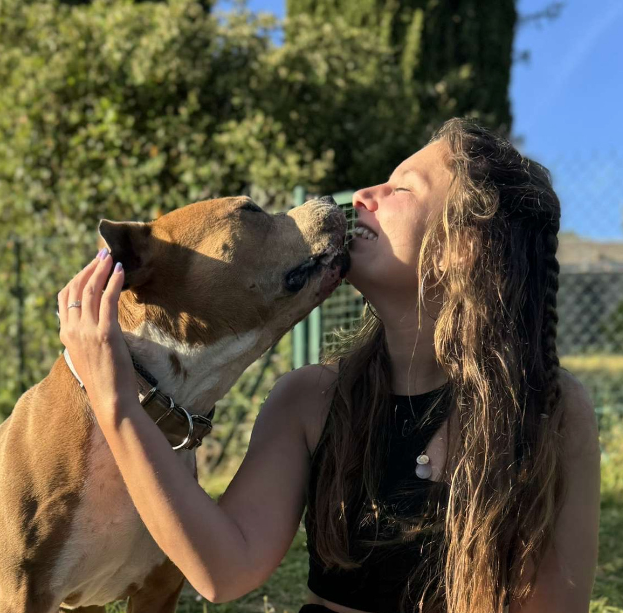 Imagem de apresentação da empresa