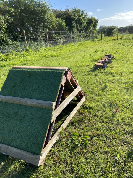 The confidence and fitness circuit. So good for for dogs to understand their bodies and build confidence with novel objects and the ability to put their paws on different objects and sufaces.