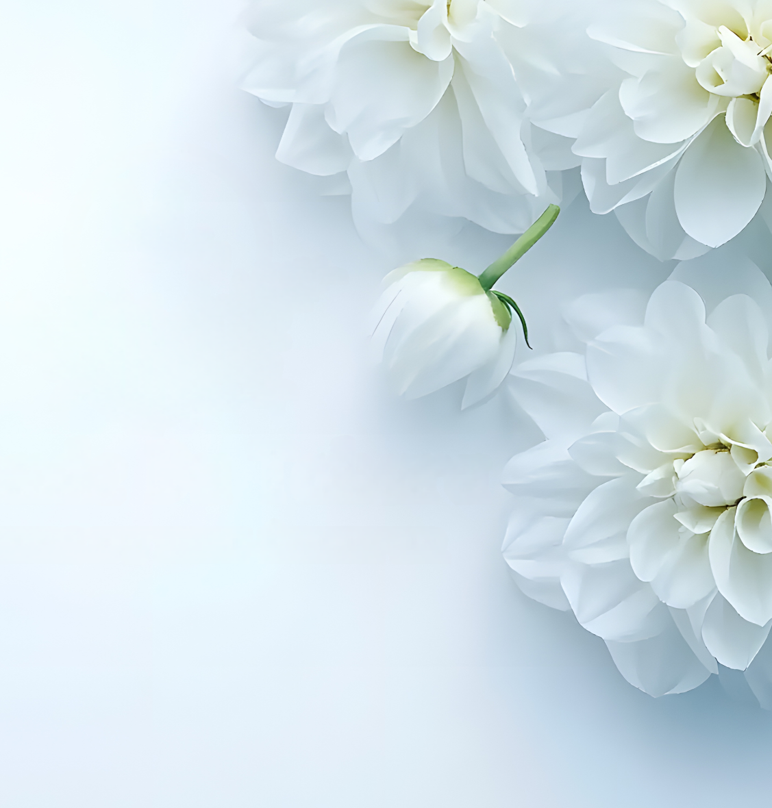 Company cover image