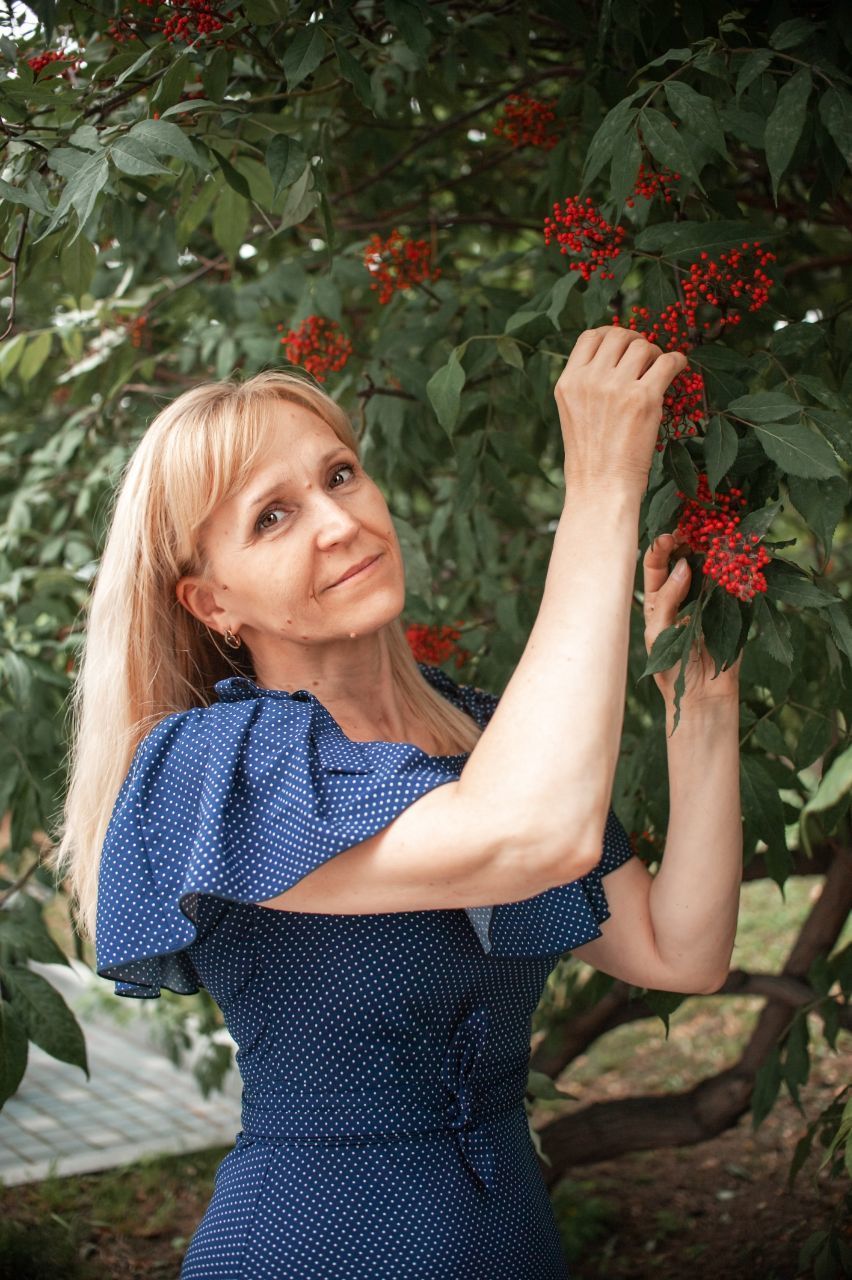 Imagem do fornecedor