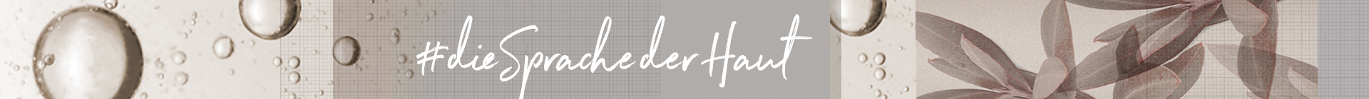 Company cover image