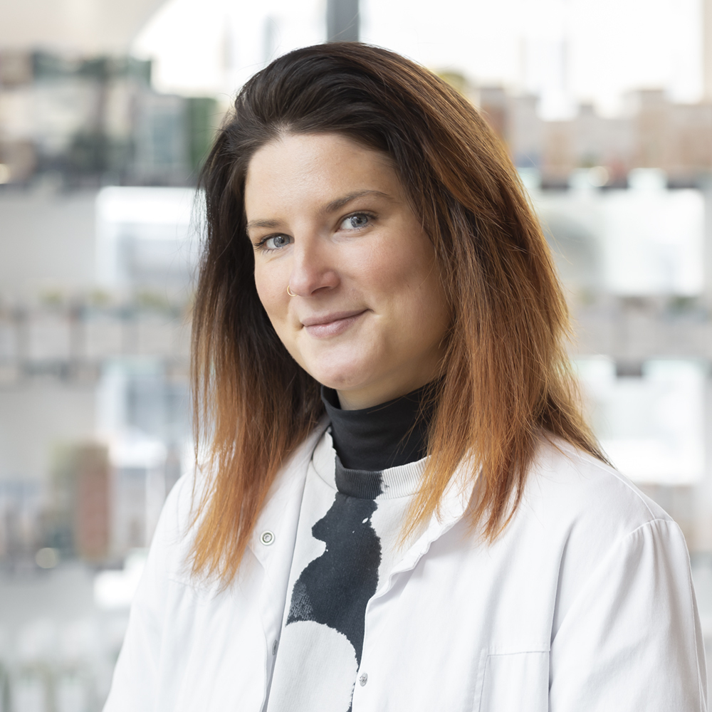 Imagem do fornecedor