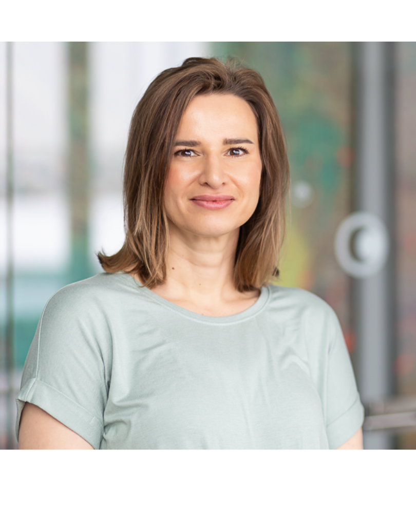 Imagem do fornecedor