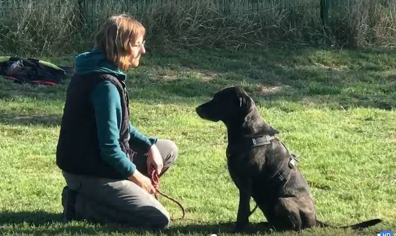 Imagem do fornecedor