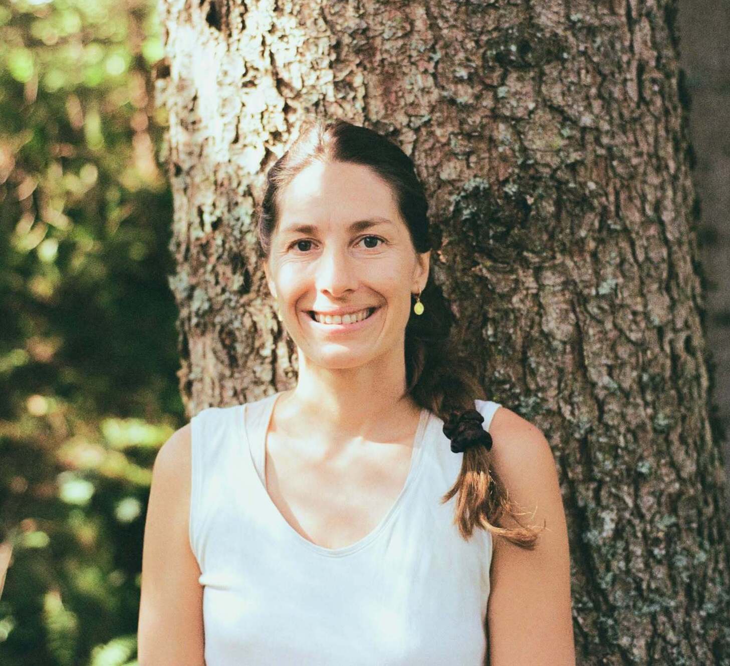 Imagem do fornecedor