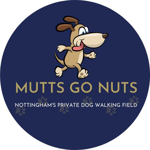 Schedule online with Mutts Go Nuts on Booking.page
