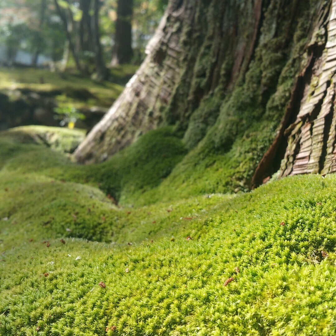 Imagem de apresentação da empresa