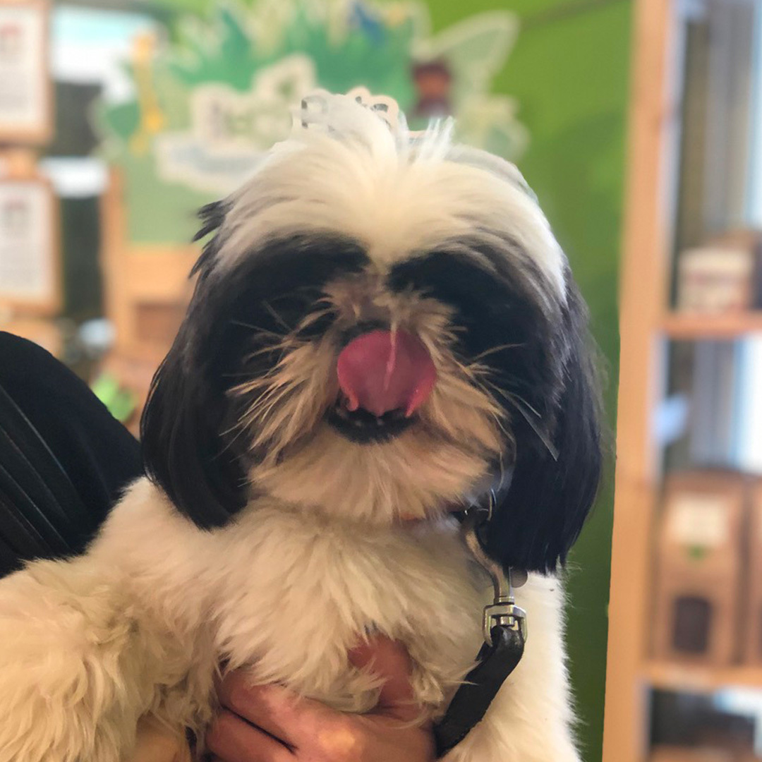 Imagem do fornecedor