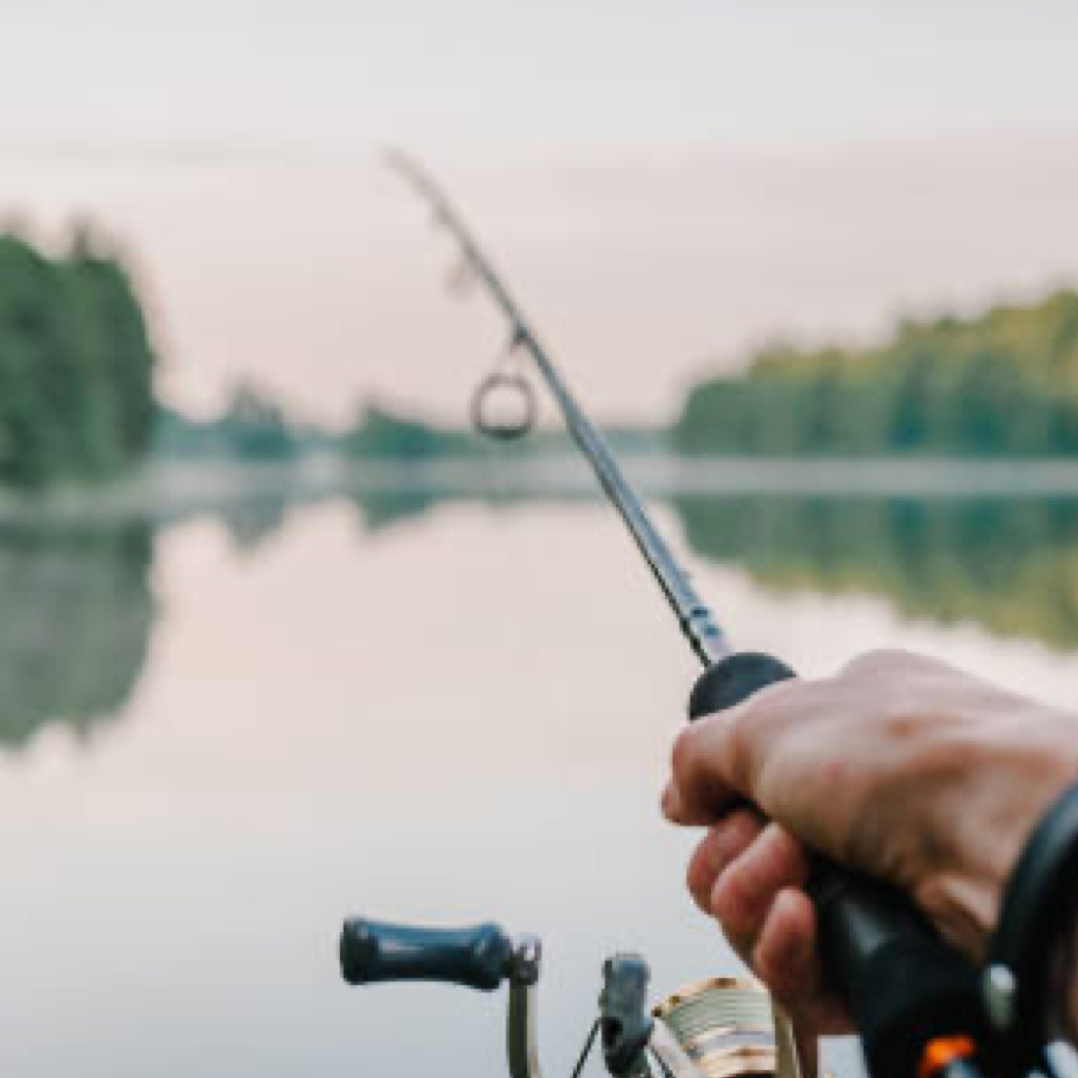 Imagem do fornecedor