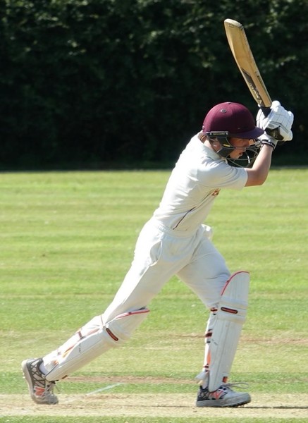 Imagem do fornecedor