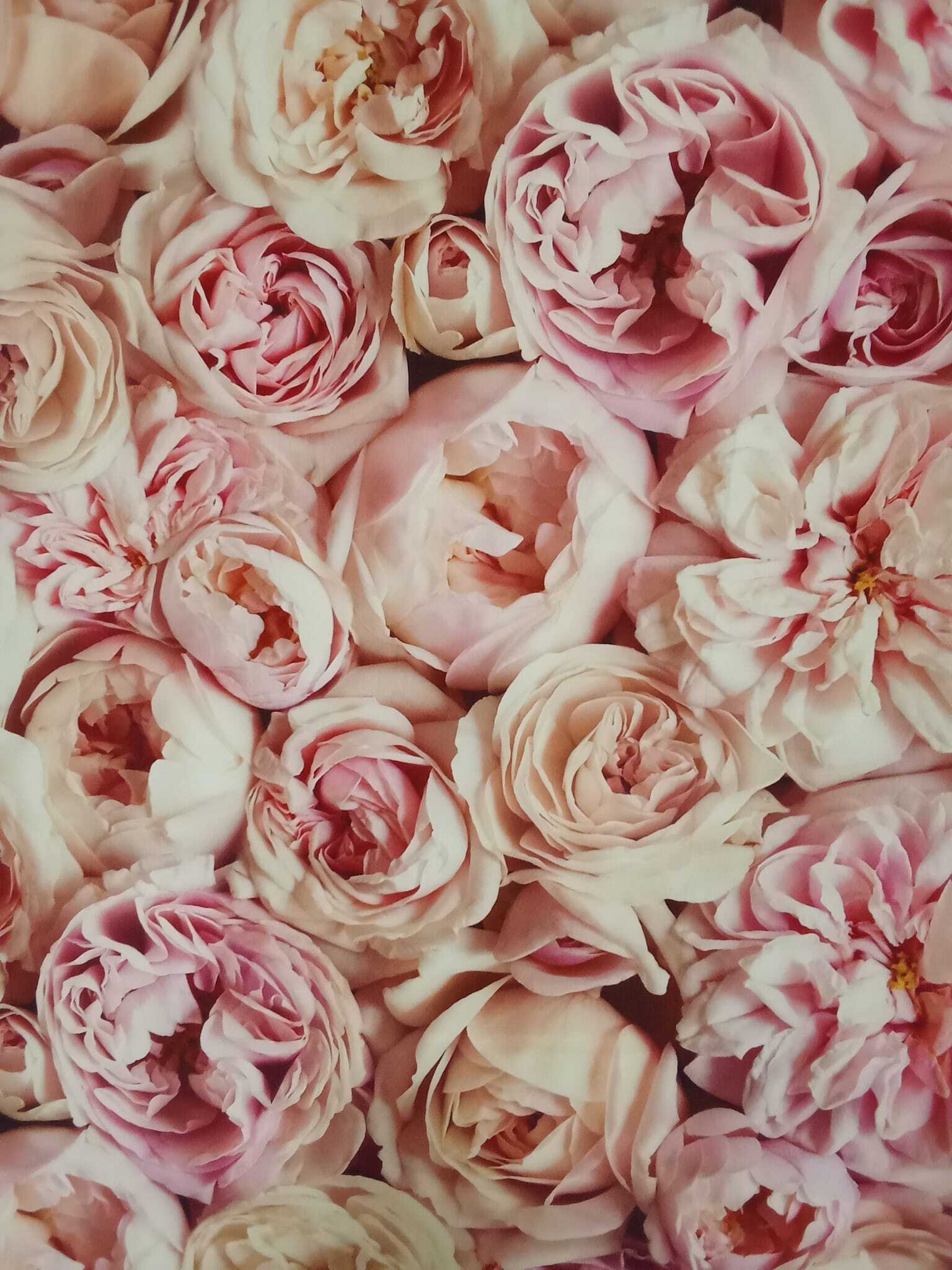 Imagem de apresentação da empresa