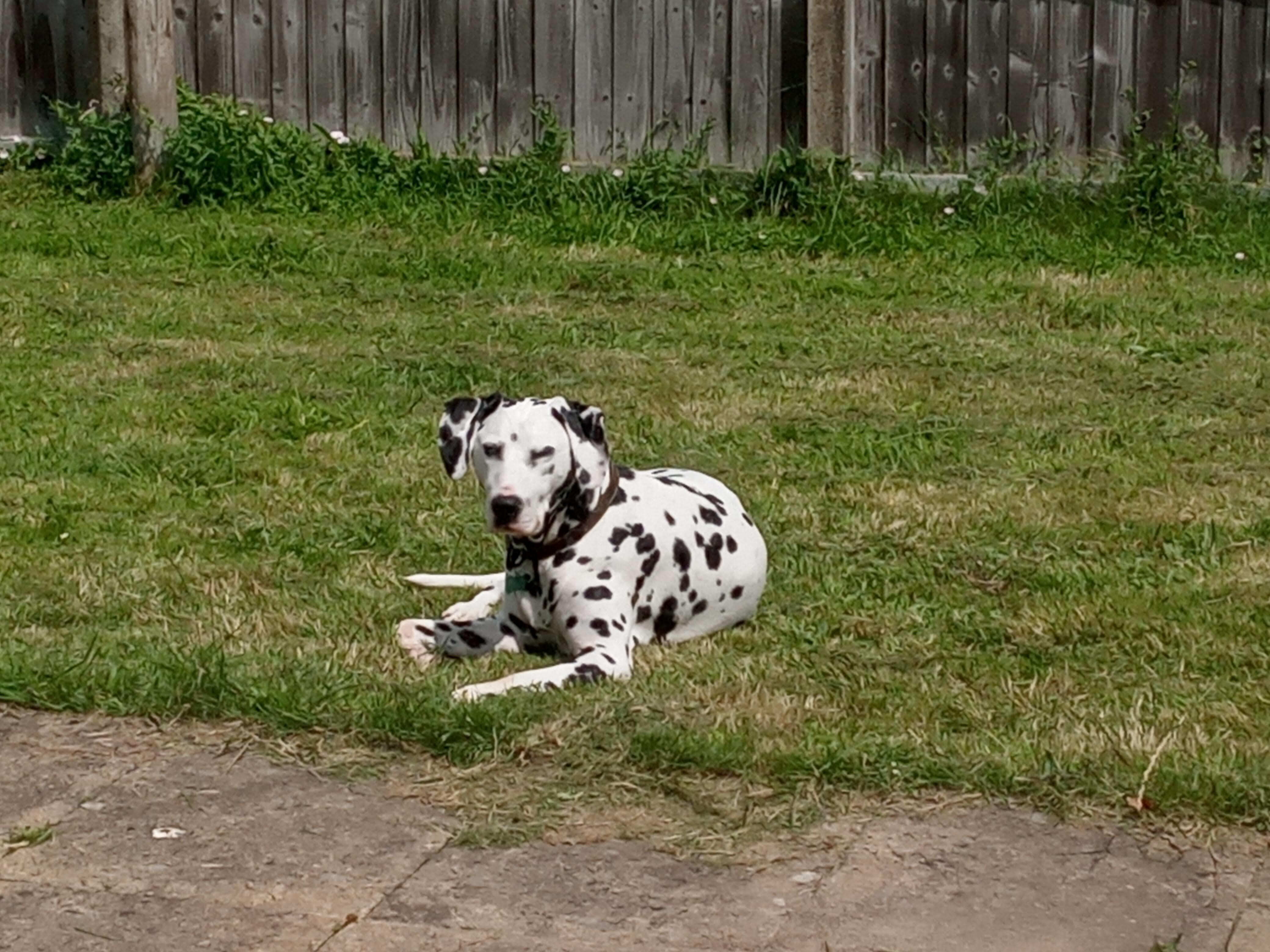 Imagem de apresentação da empresa