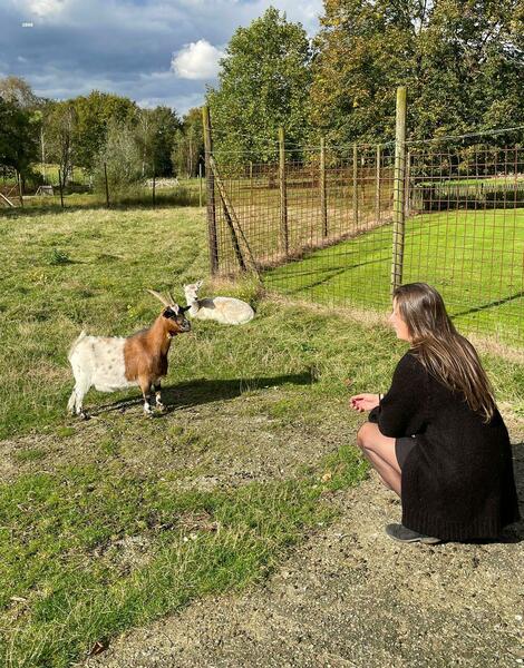 Imagem do fornecedor