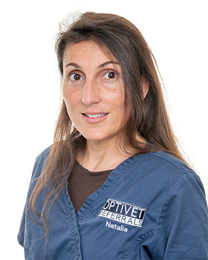 Imagem do fornecedor