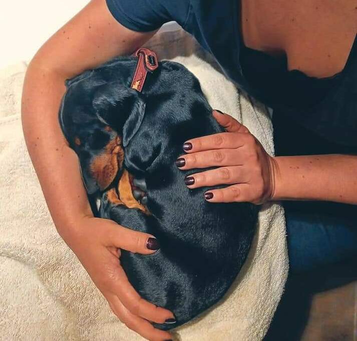 Imagem do serviço 